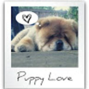 Meet your Posher, Vi